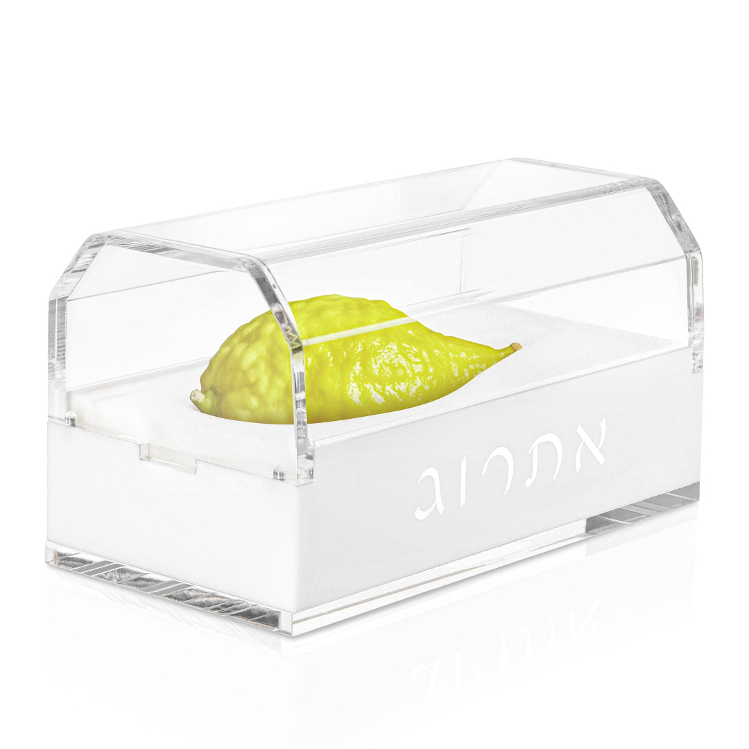 Sleek etrog case.