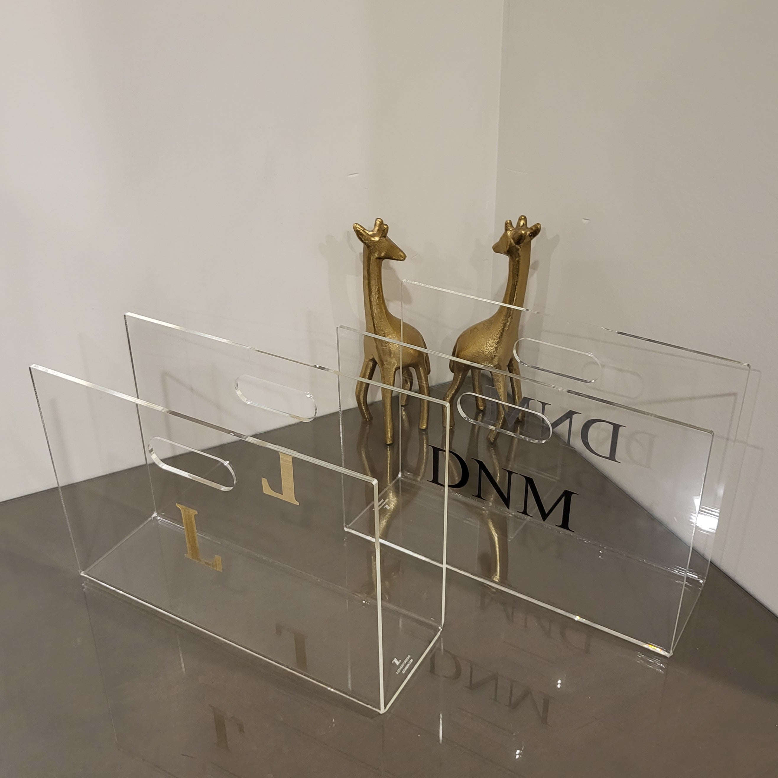 Trendy Lucite Magazine Holder