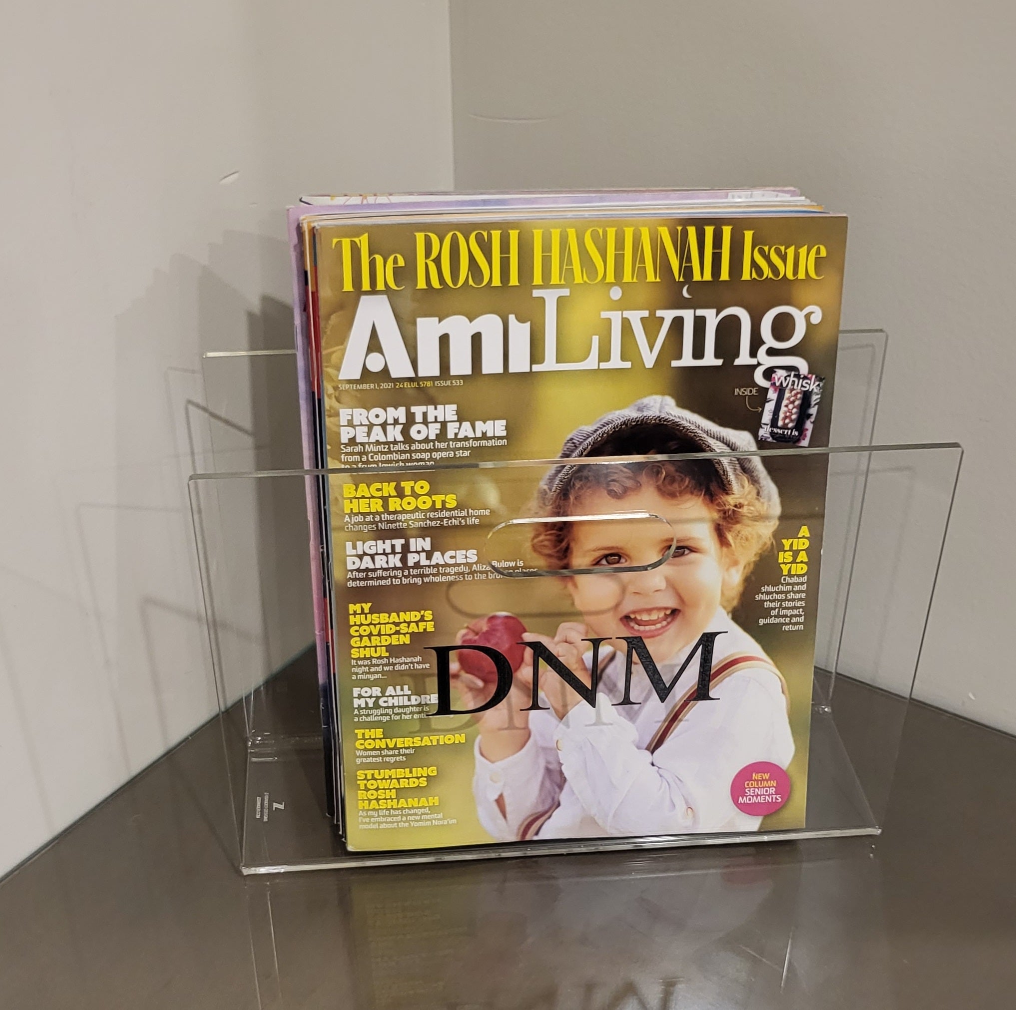 Trendy Lucite Magazine Holder
