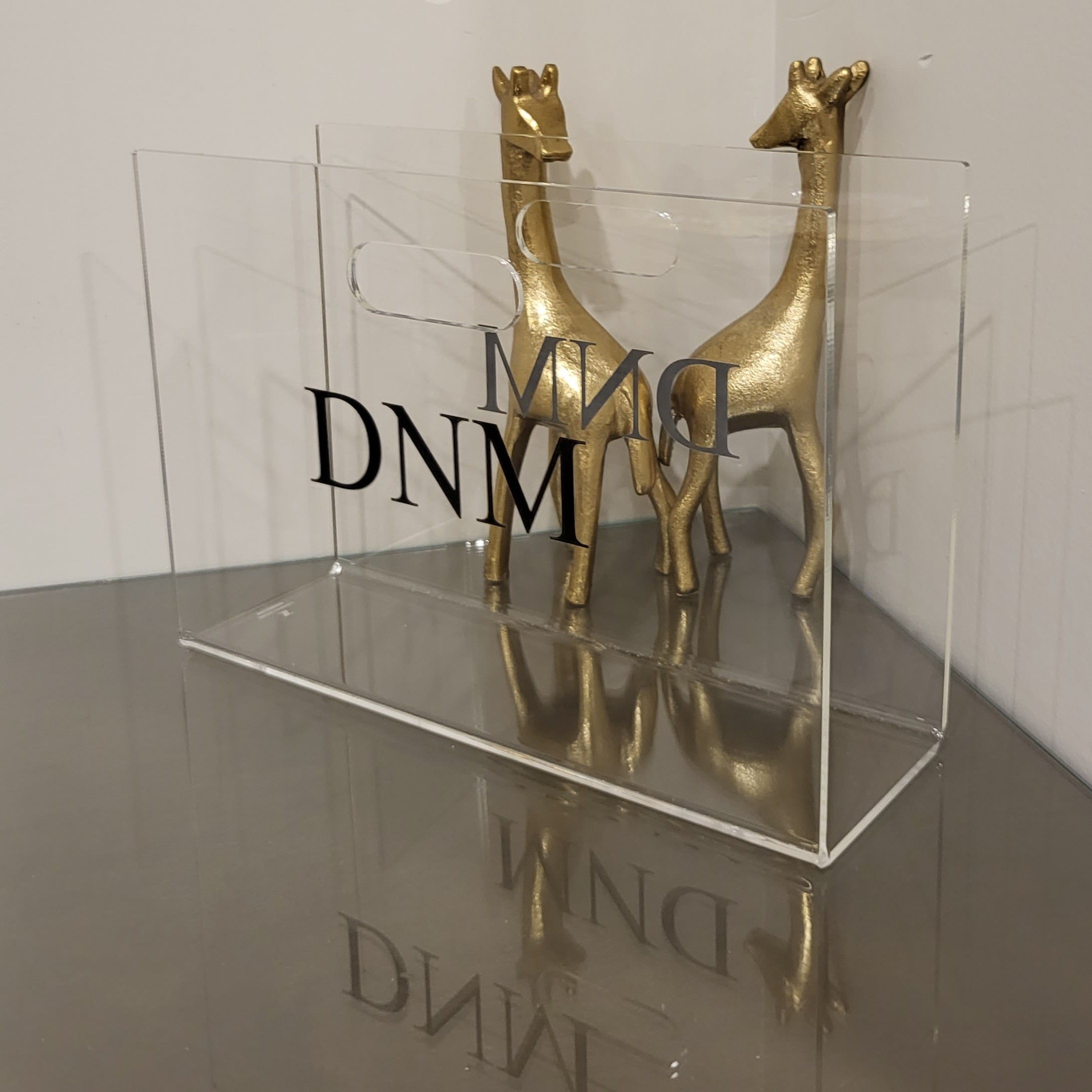 Trendy Lucite Magazine Holder